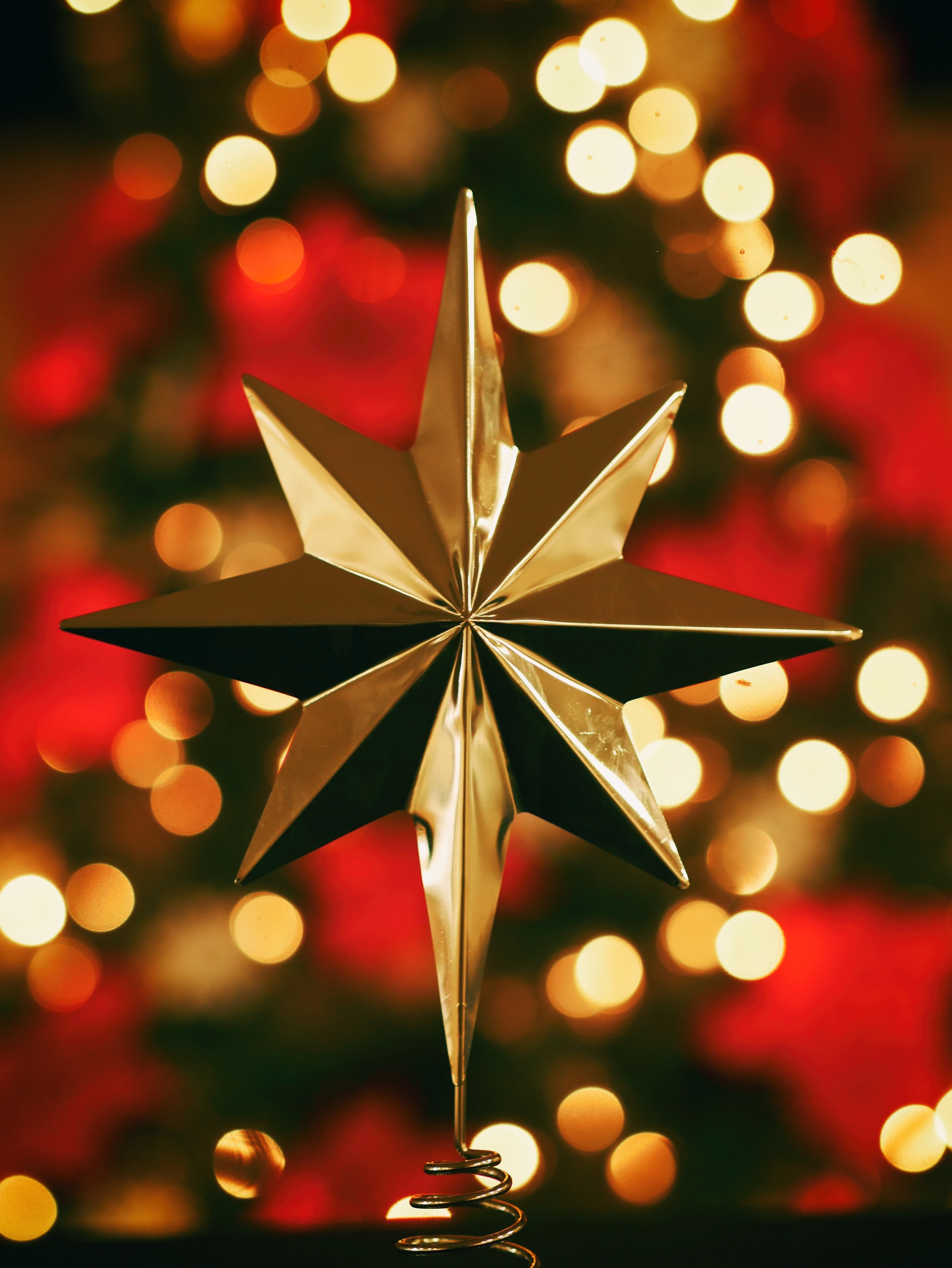 Weihnachtsstern